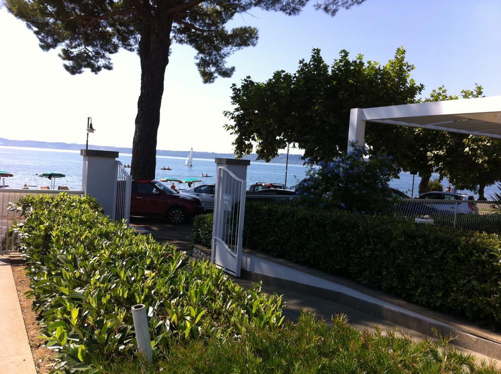 Skipper White * Trevignano Romano